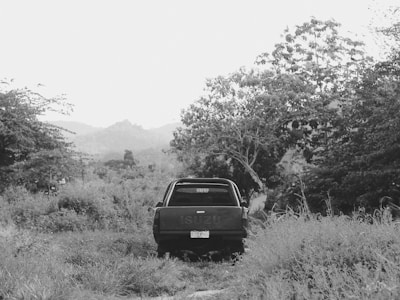A black and white photograph features a pickup truck, identified as an Isuzu, positioned in a natural setting. The vehicle is parked on a dirt path surrounded by tall grass and dense trees. In the background, distant hills or mountains are faintly visible under an overcast sky.