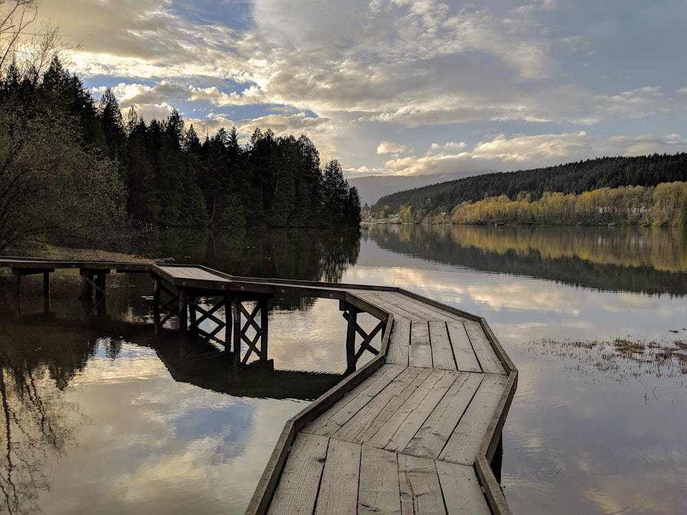 gray wooden dock on lake during daytime