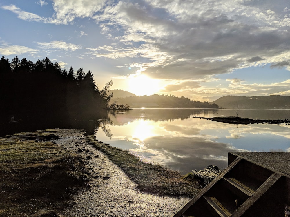 body of water near trees during daytime