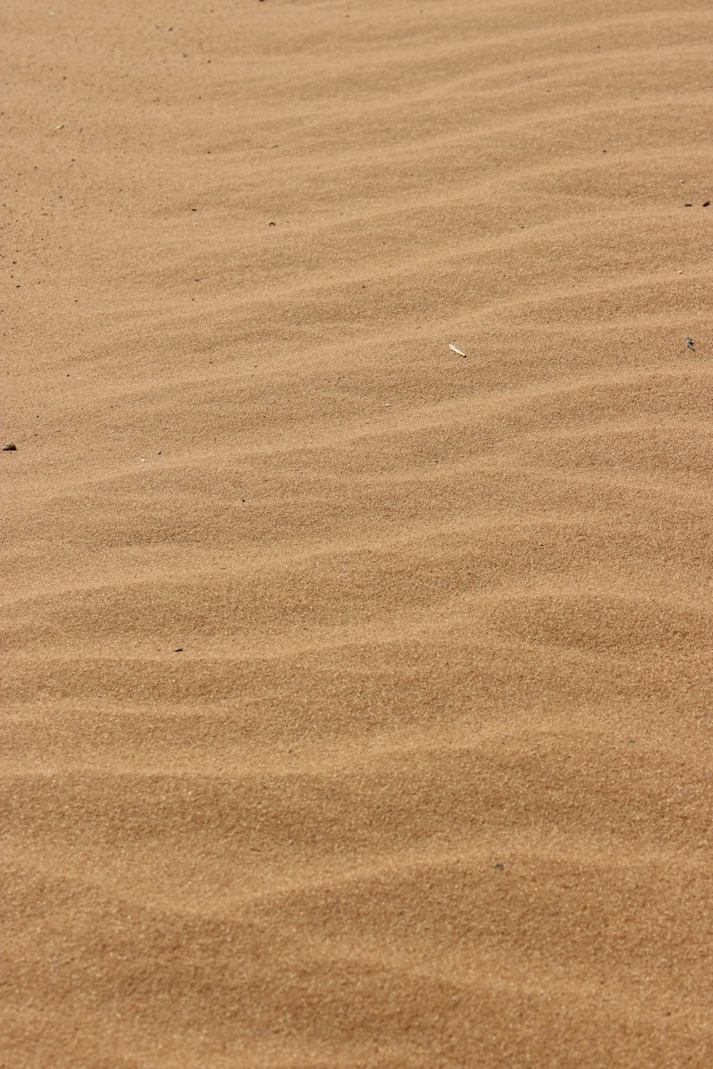 brown sand with shadow of person