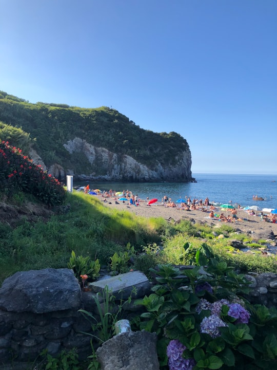 people on beach during daytime in Porto Formoso Portugal