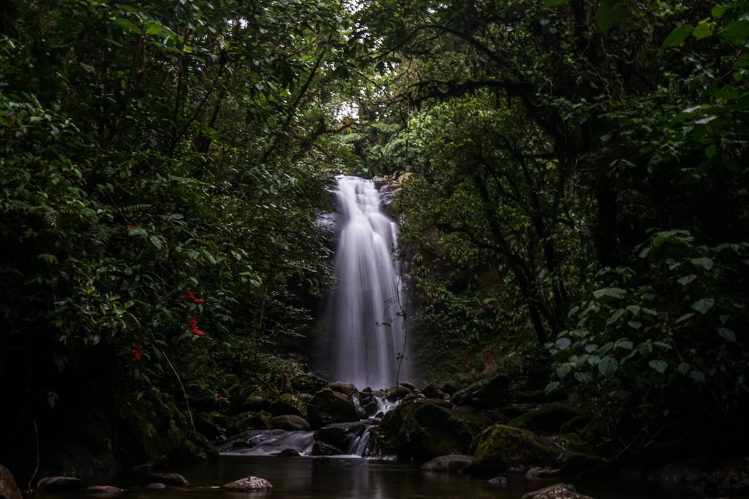 water falls in the middle of green trees, Trek of the