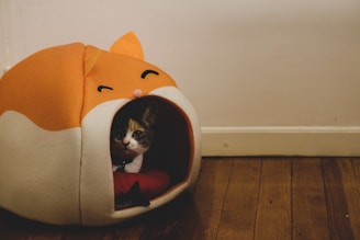 A cat is nestled inside a small, orange and white, cat-themed pet bed. The bed resembles a cartoonish animal with closed eyes and ears on top. It rests on a wooden floor against a neutral-colored wall.