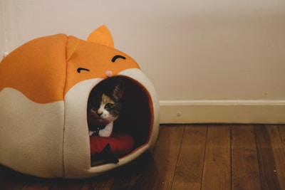 A cat nestled in a stylish cat bed in a rental home.