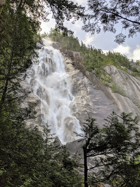 waterfalls in the middle of the forest during daytime in Stawamus Chief Provincial Park Canada