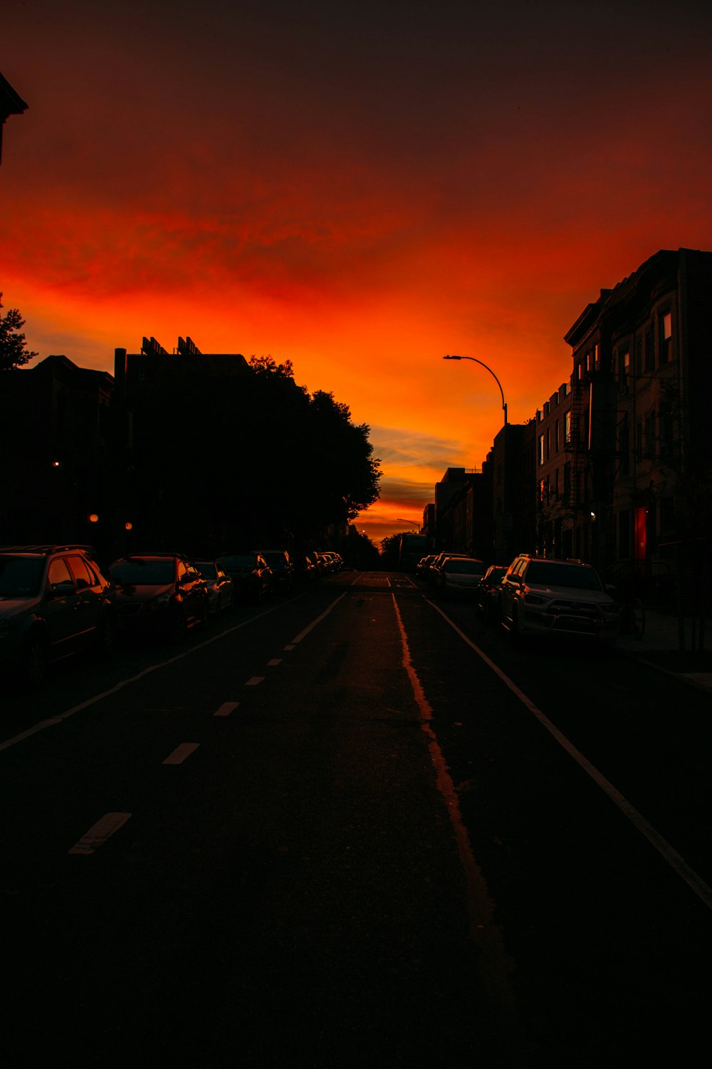 cars on road during sunset