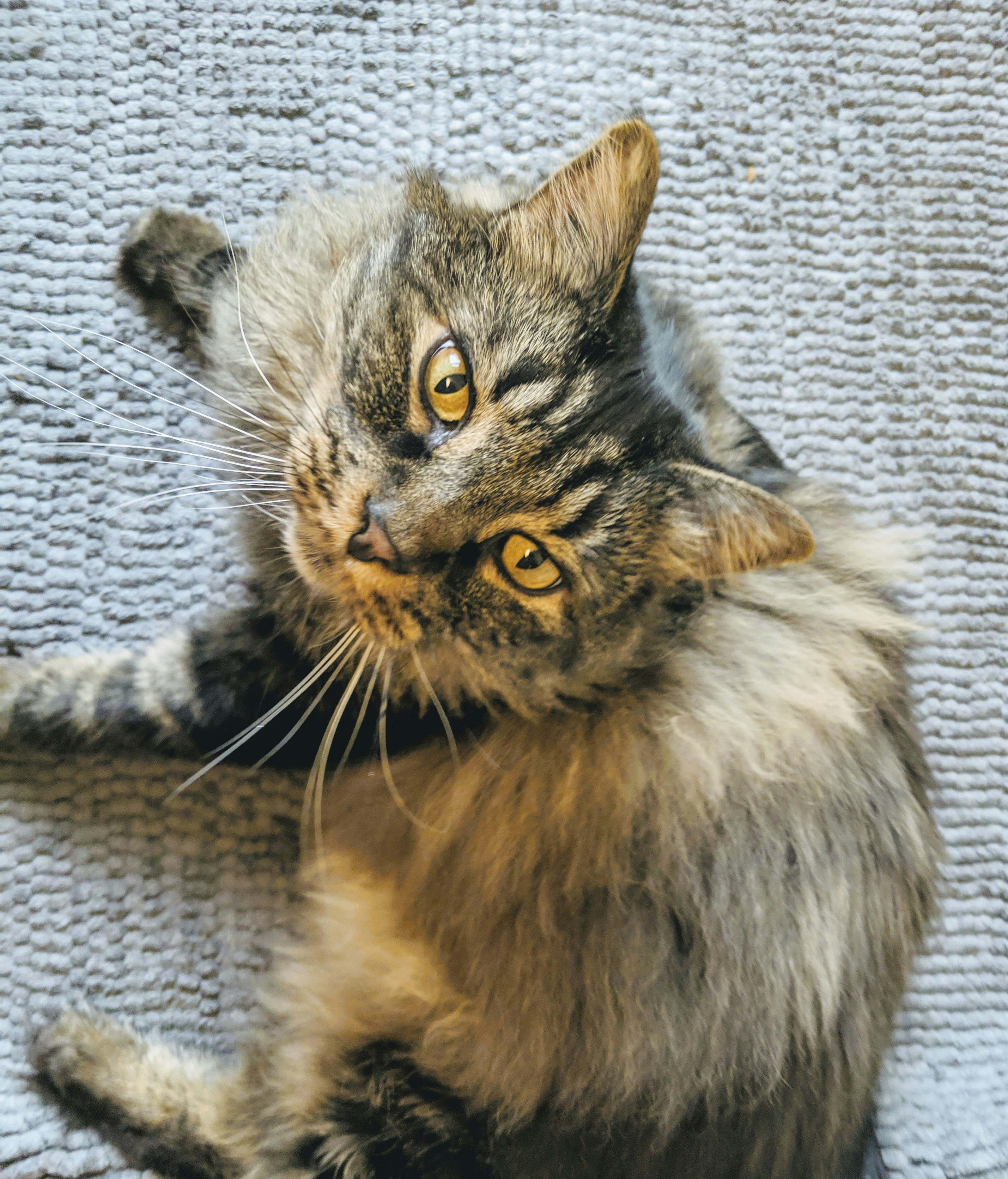 Photo by lauralefurgeysmith