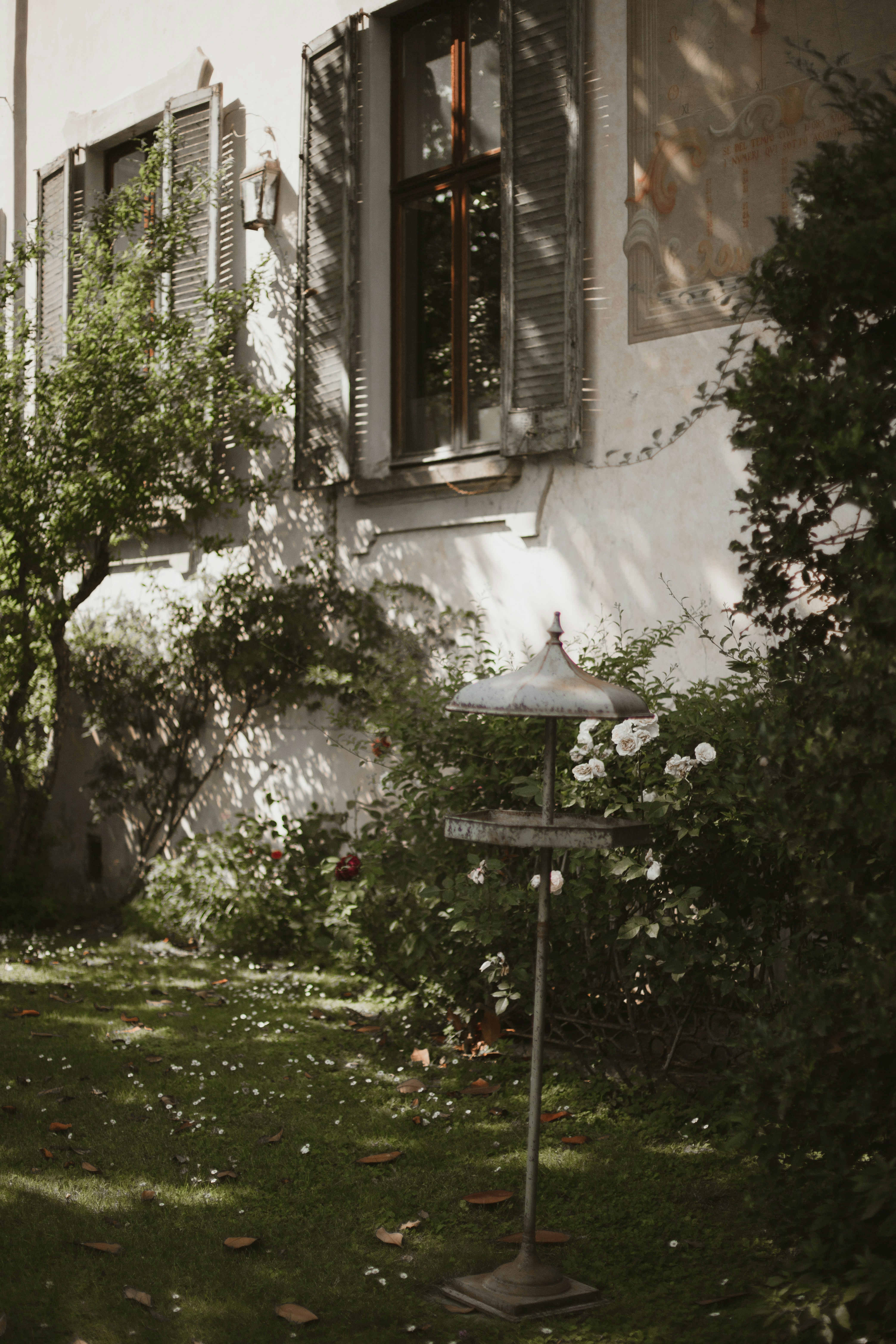 Photo by interniweeni