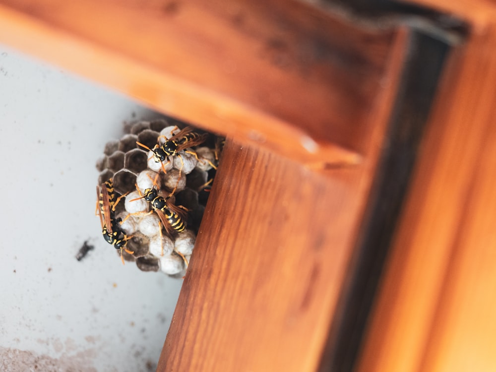 silver and black beads on brown wooden drawer