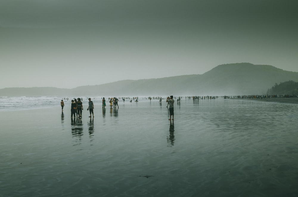 people on beach during daytime