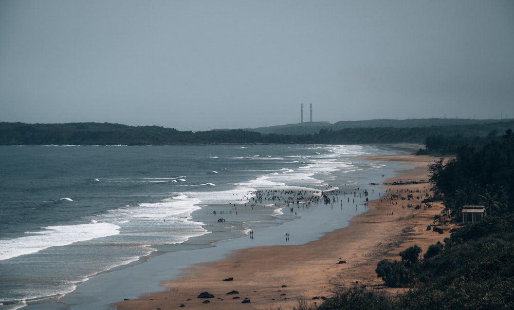 personnes sur la plage pendant la journée