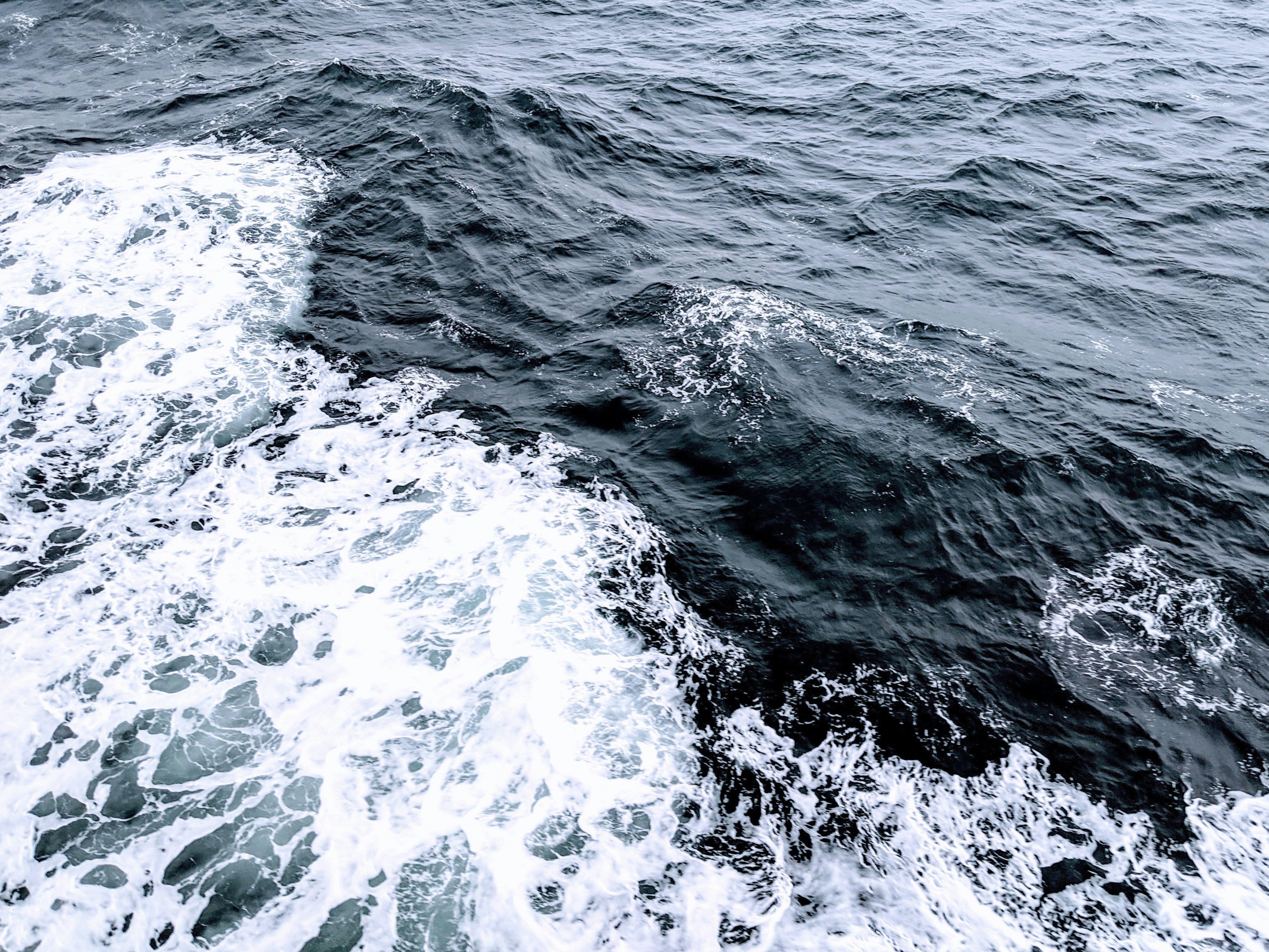 Photo by lauralefurgeysmith