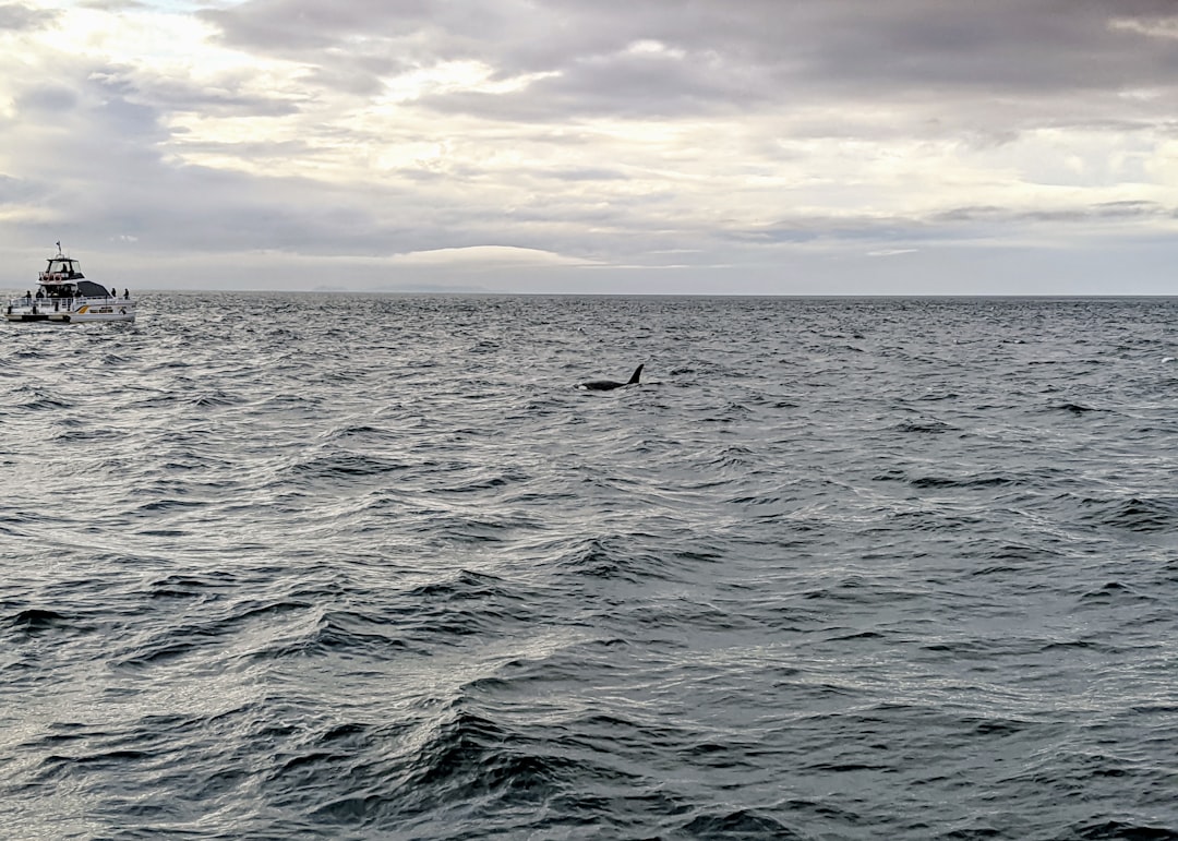 body of water under cloudy sky during daytime