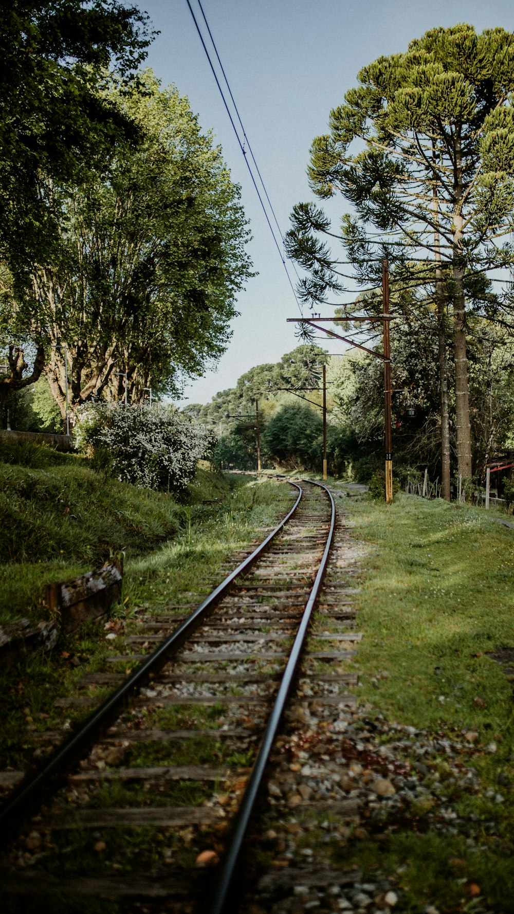 train rail near green grass field during daytime