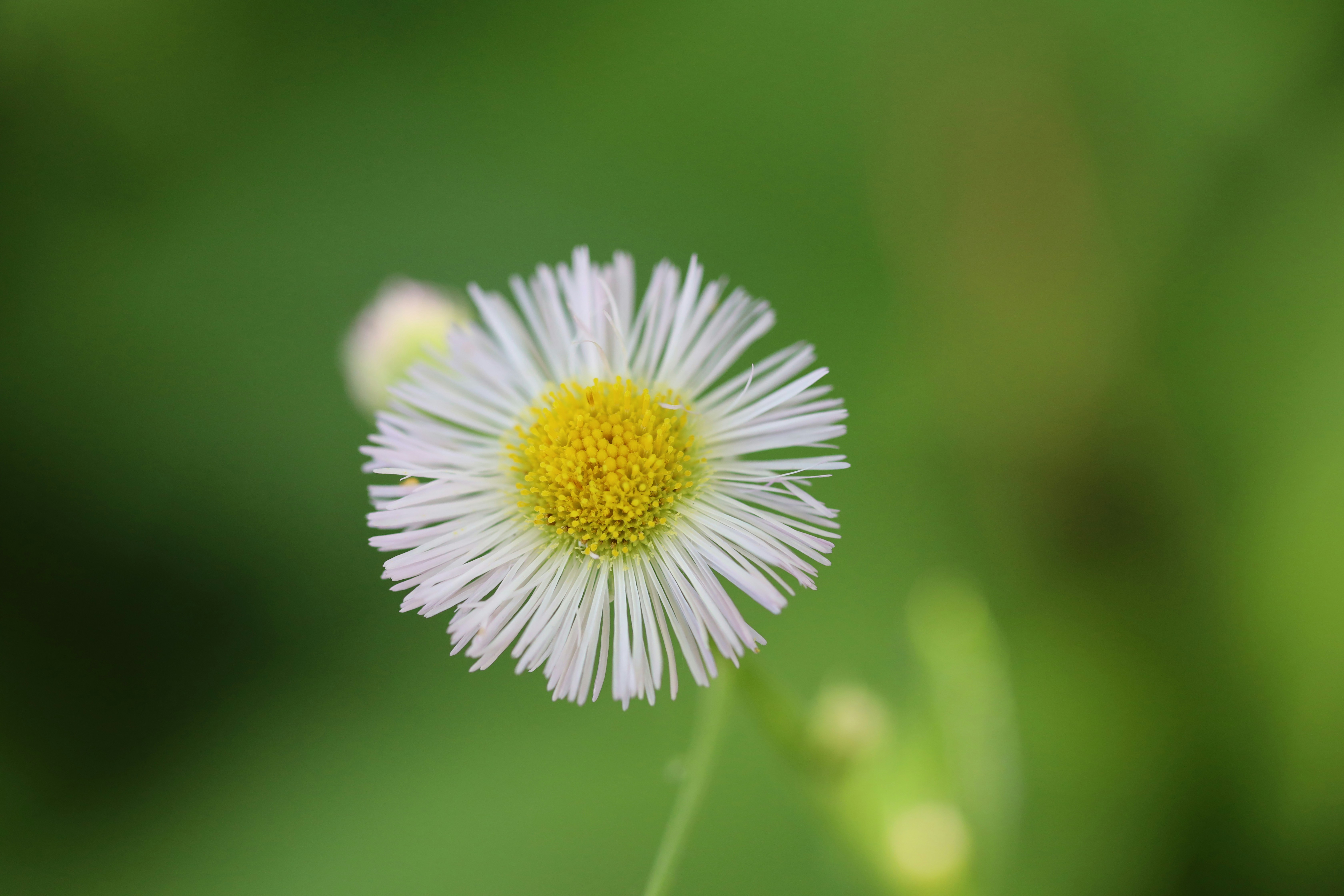 Photo by richardworks