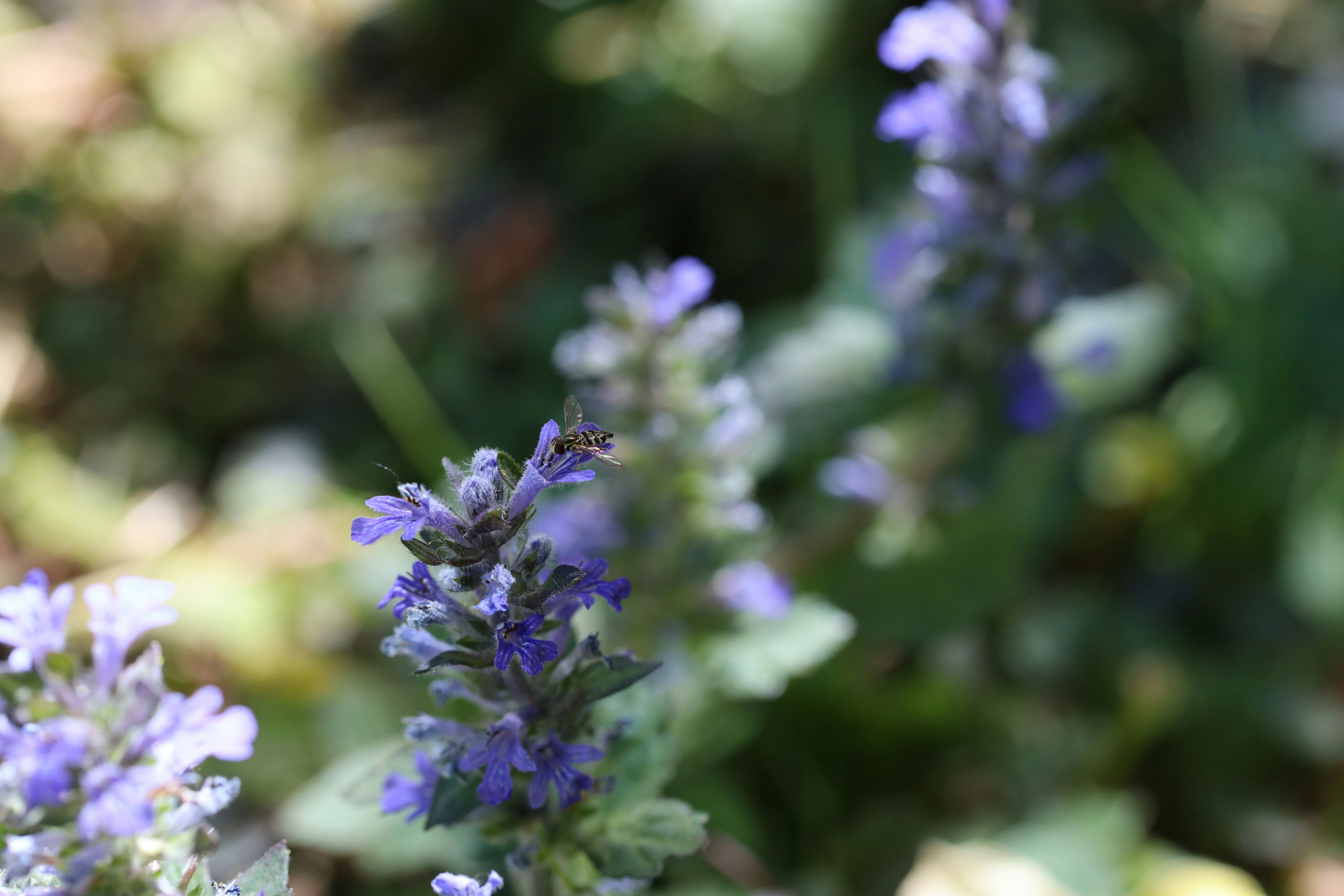 Photo by richardworks