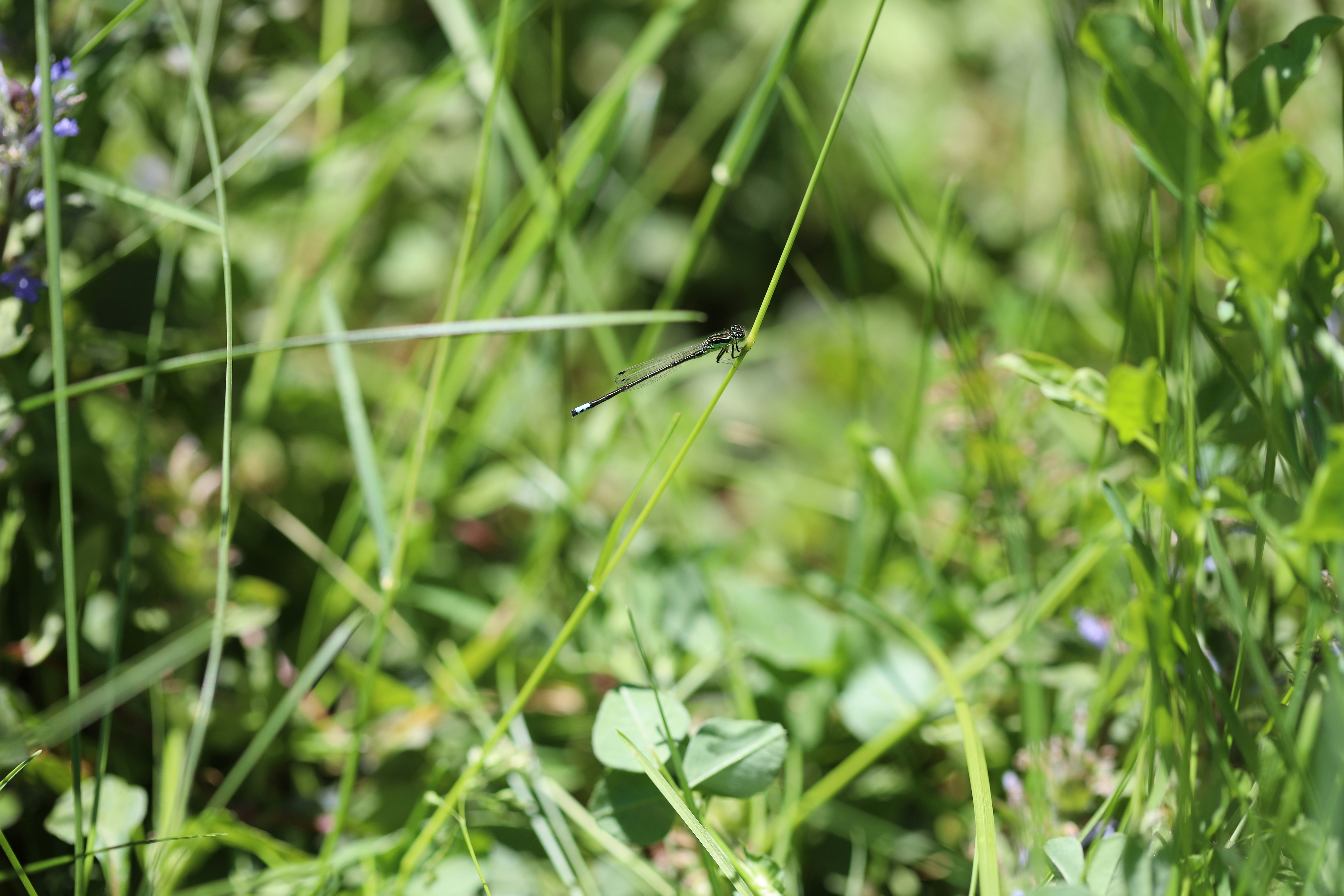 Photo by richardworks