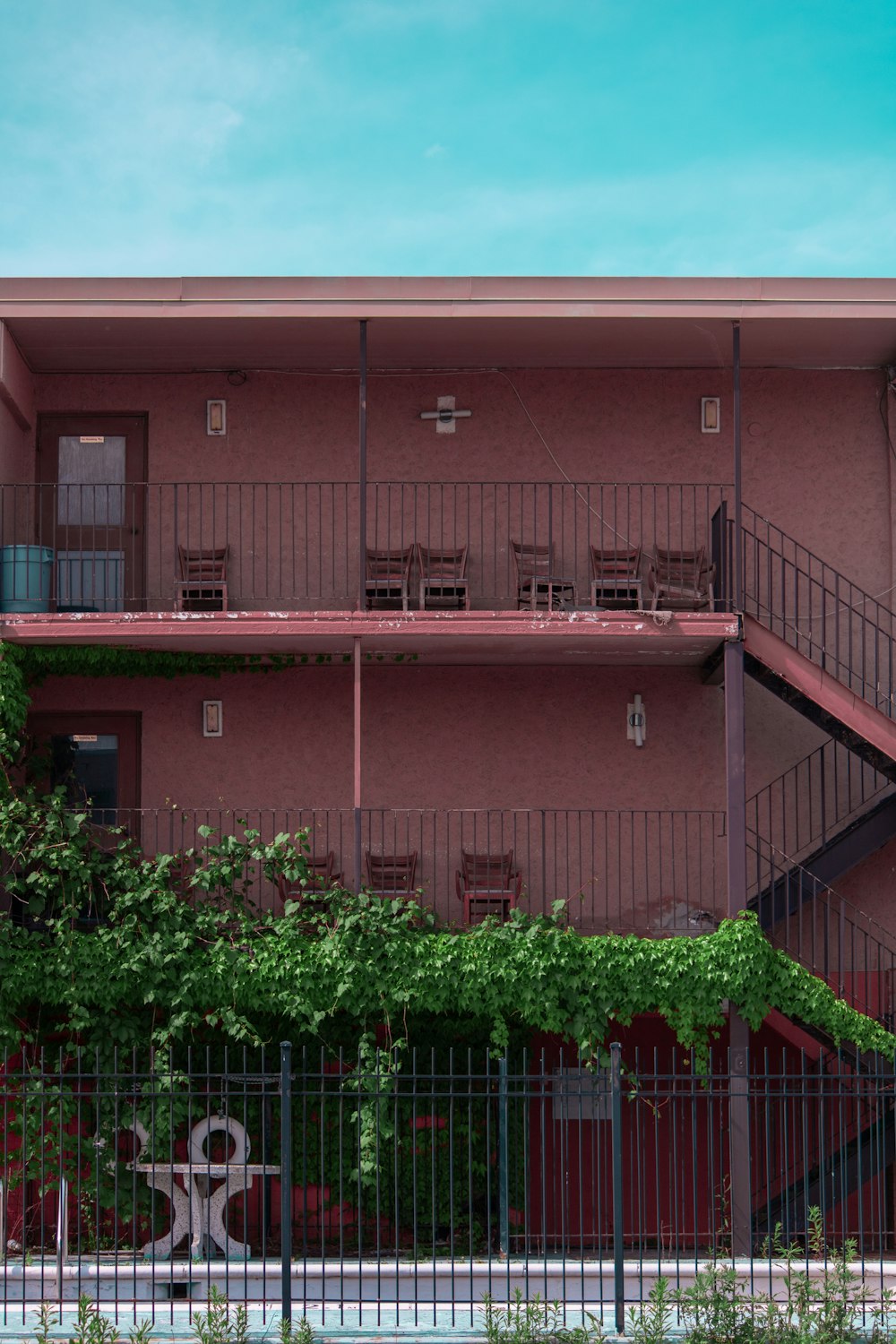 green plants on brown brick building