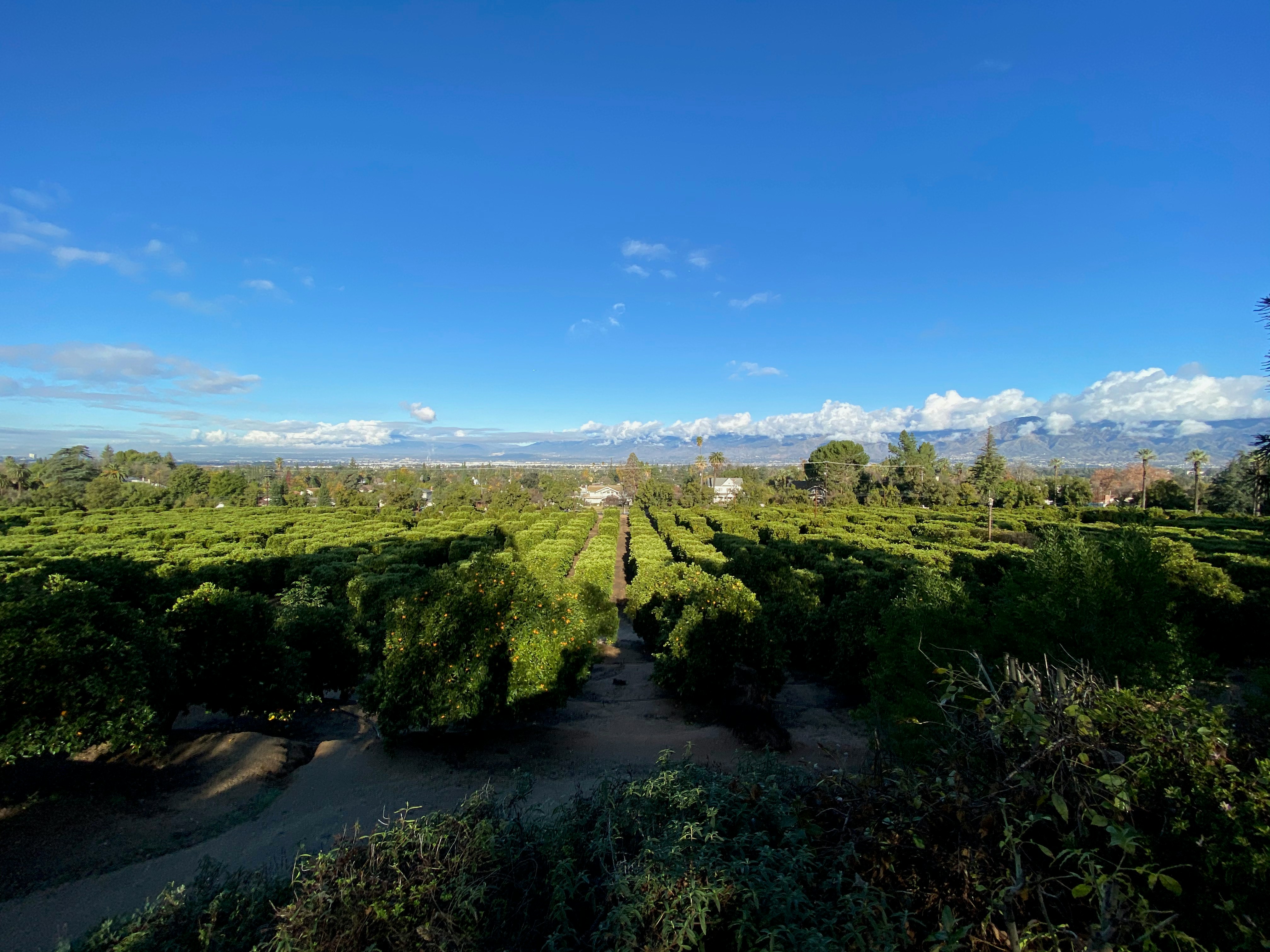 Photo by devinmcgloin