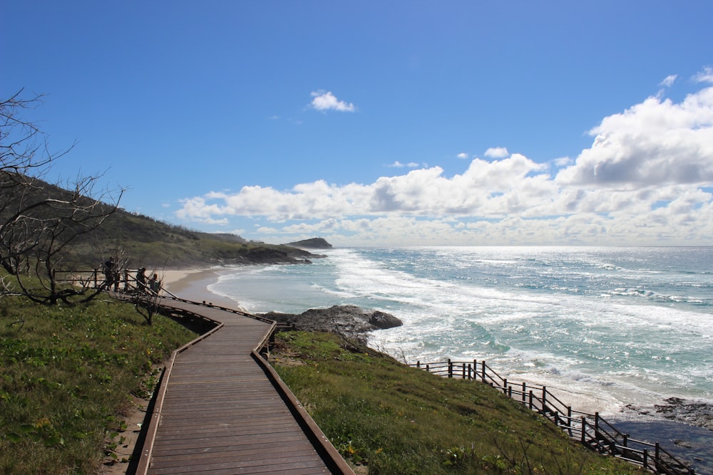 brown wooden pathway near sea under blue sky during daytime