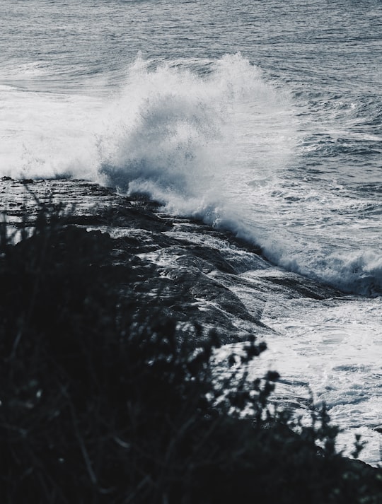 ocean waves crashing on rocky shore during daytime in Gerroa NSW Australia