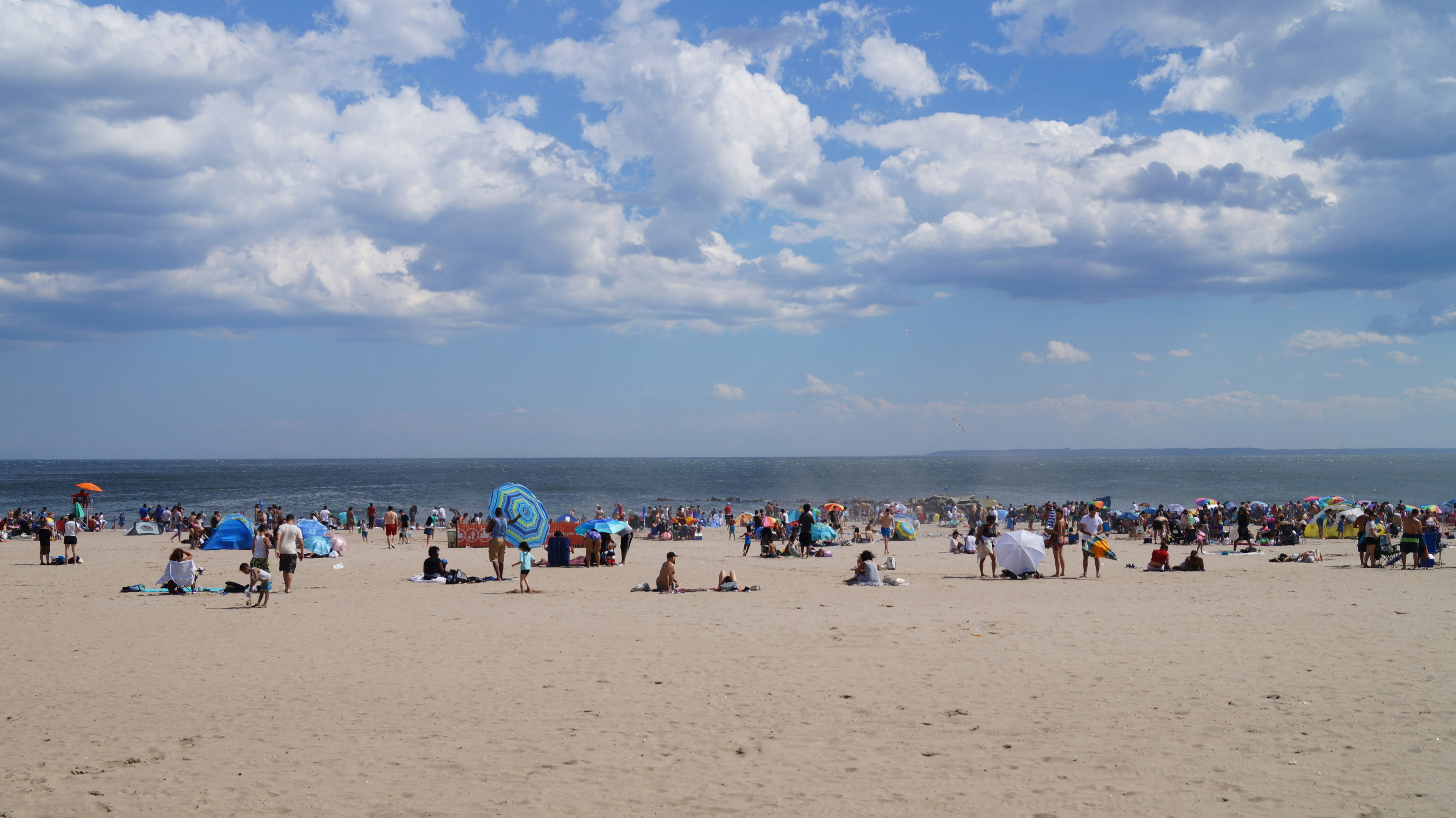 Photo by carloszarate11