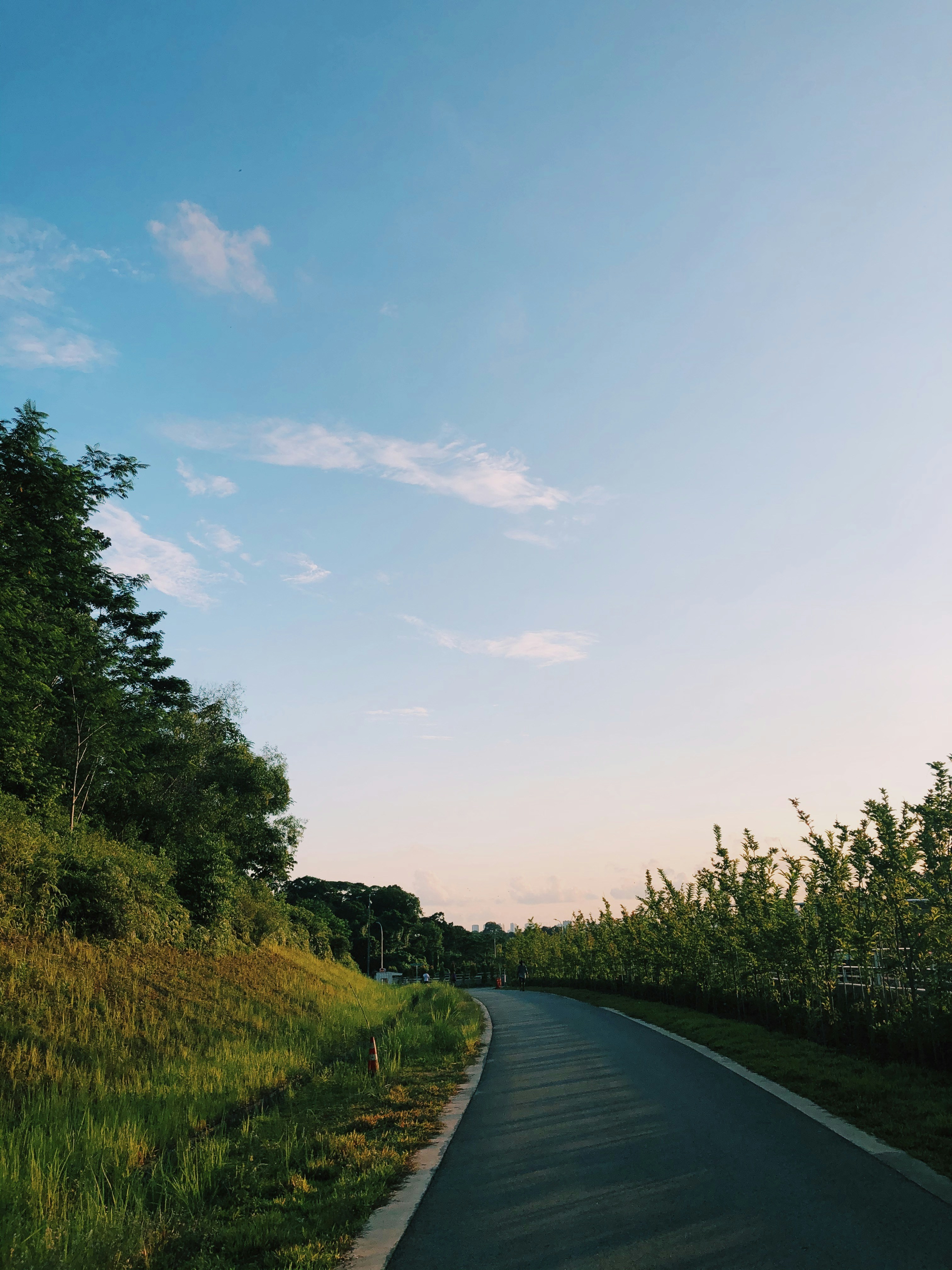 Photo by chuttersnap