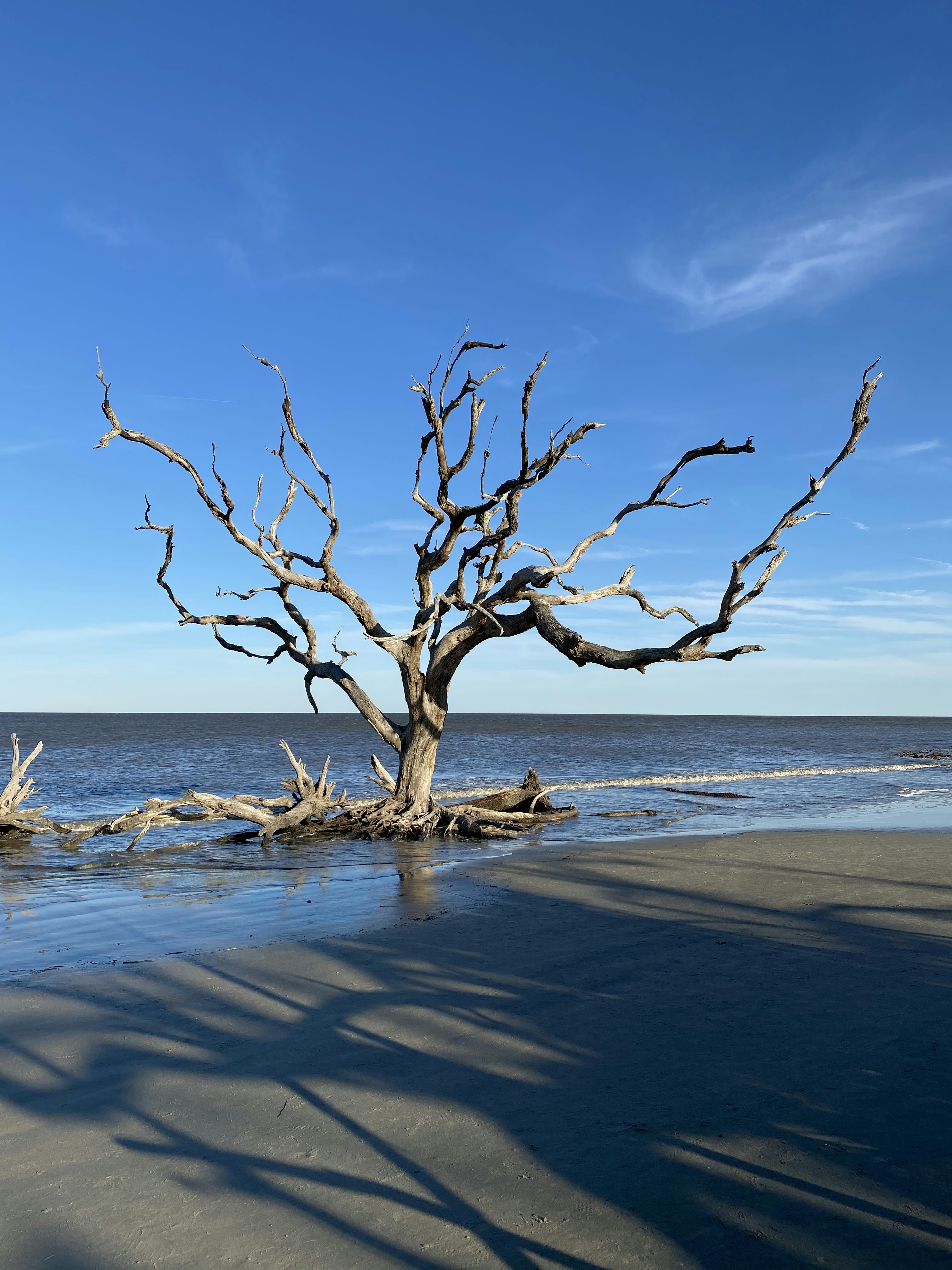 Photo by richardtjudy