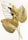 A decorative wall art piece featuring intricately designed metallic leaves in a gold finish. The leaves exhibit detailed textures and appear to be layered, creating a dynamic and artistic shadow effect on the light background.