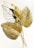 A decorative wall art piece featuring intricately designed metallic leaves in a gold finish. The leaves exhibit detailed textures and appear to be layered, creating a dynamic and artistic shadow effect on the light background.