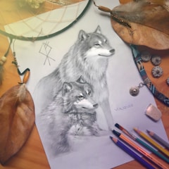 A pencil drawing of two wolves is centered, surrounded by artistic items including a dreamcatcher, feathers, pencils, and an eraser. The wolves are depicted in a realistic style, portraying a sense of grace and strength. The scene is well composed with a rustic, natural feel.