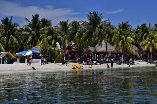 people on beach during daytime in Quintana Roo Mexico