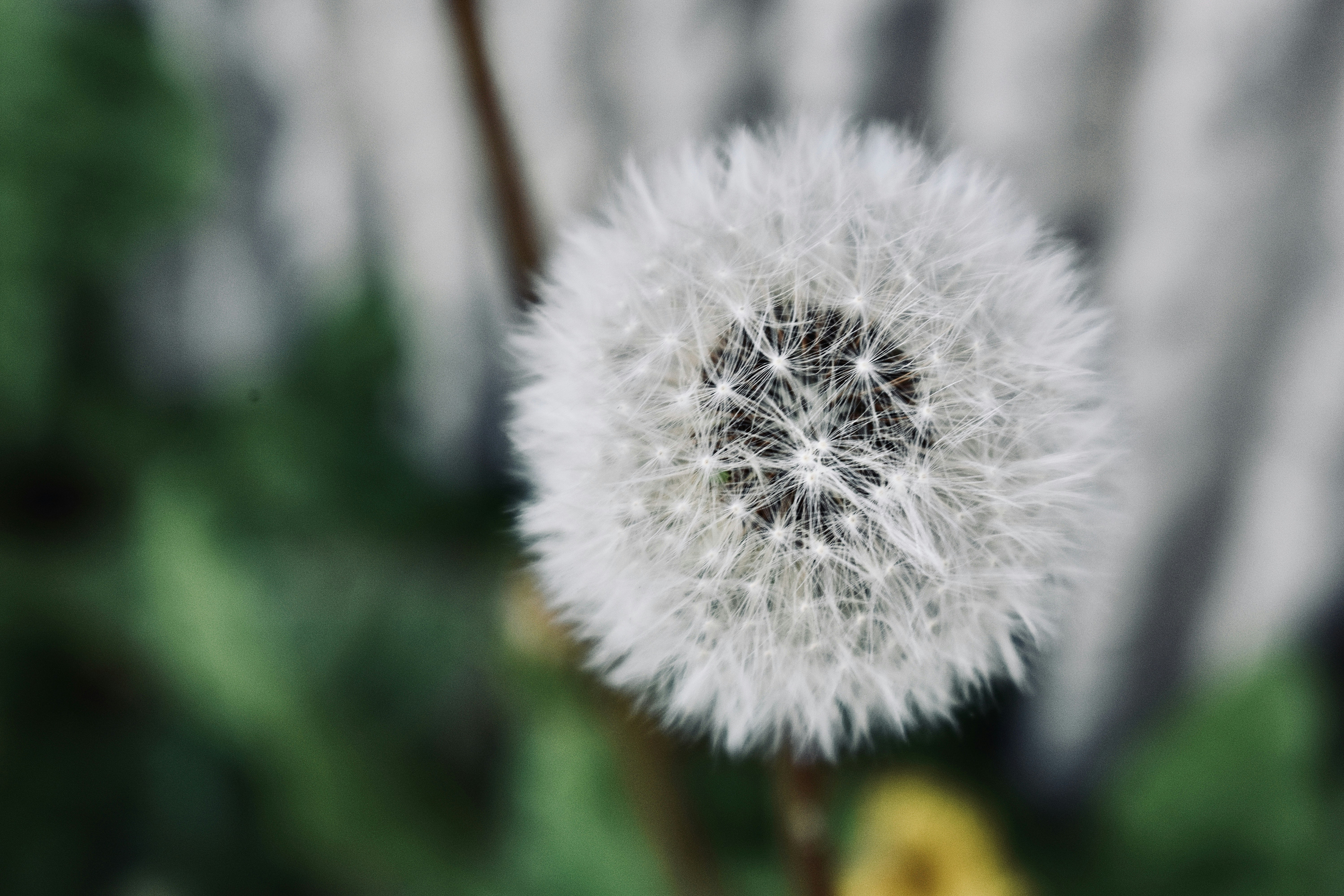 Photo by katuriakhila