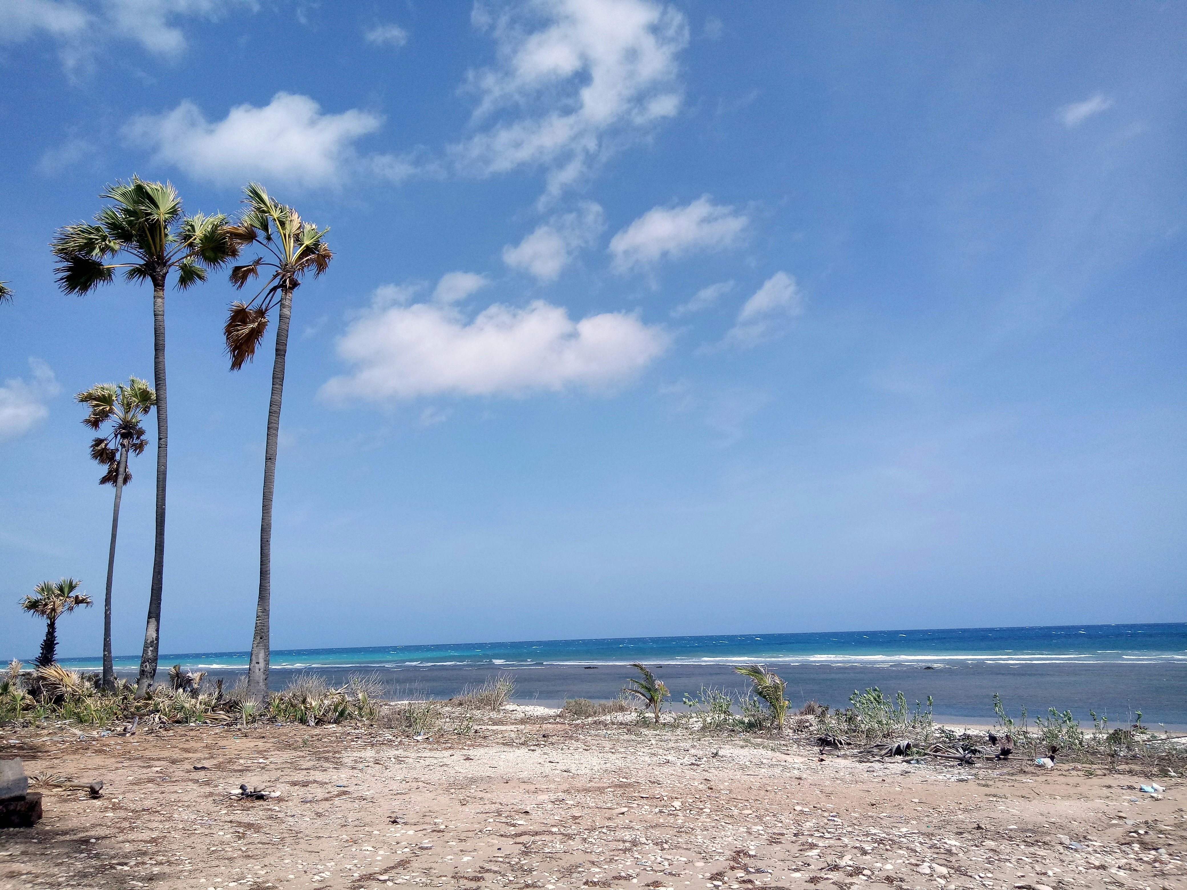 Photo by ester_zelot