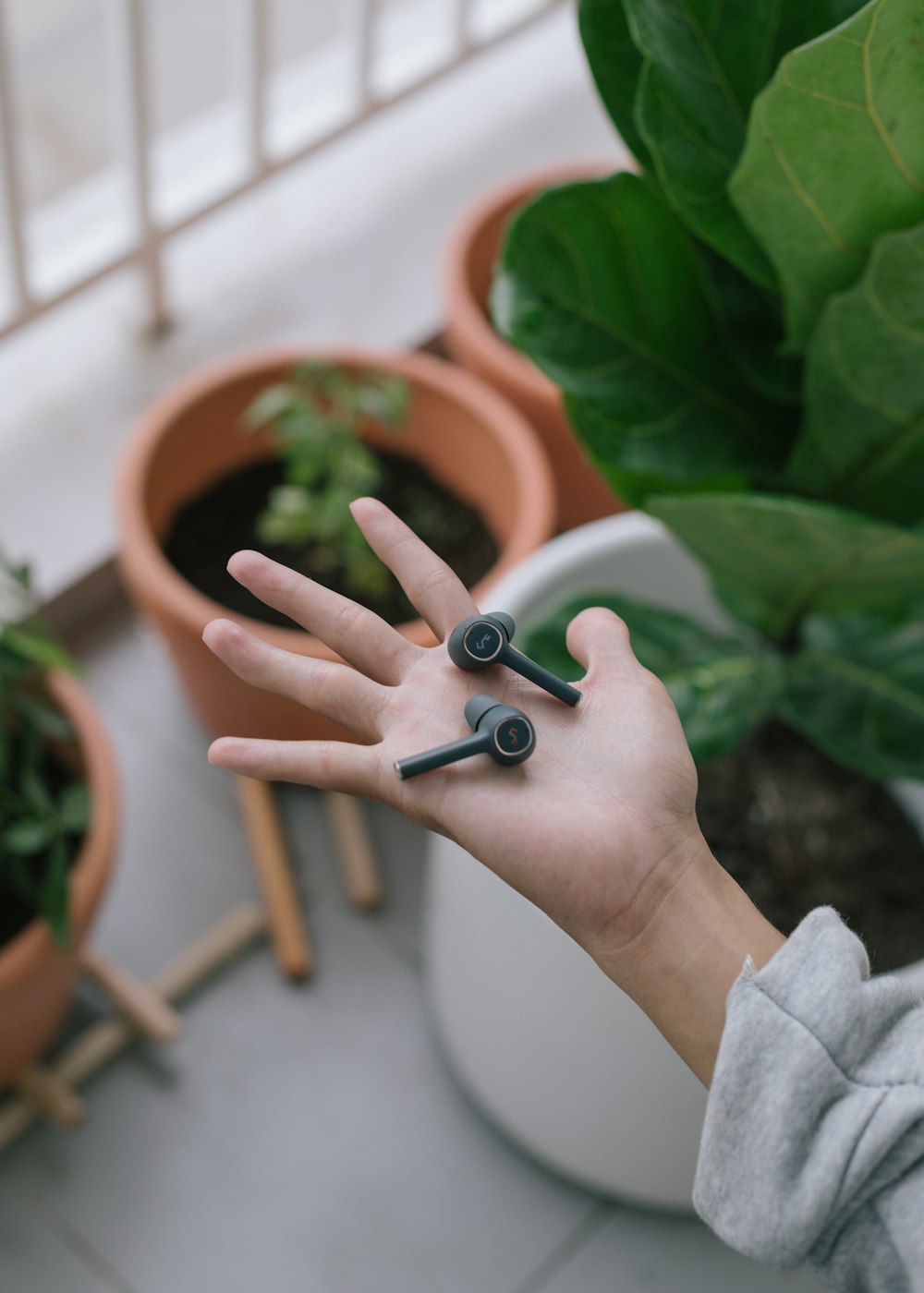 person holding green plant on brown clay pot