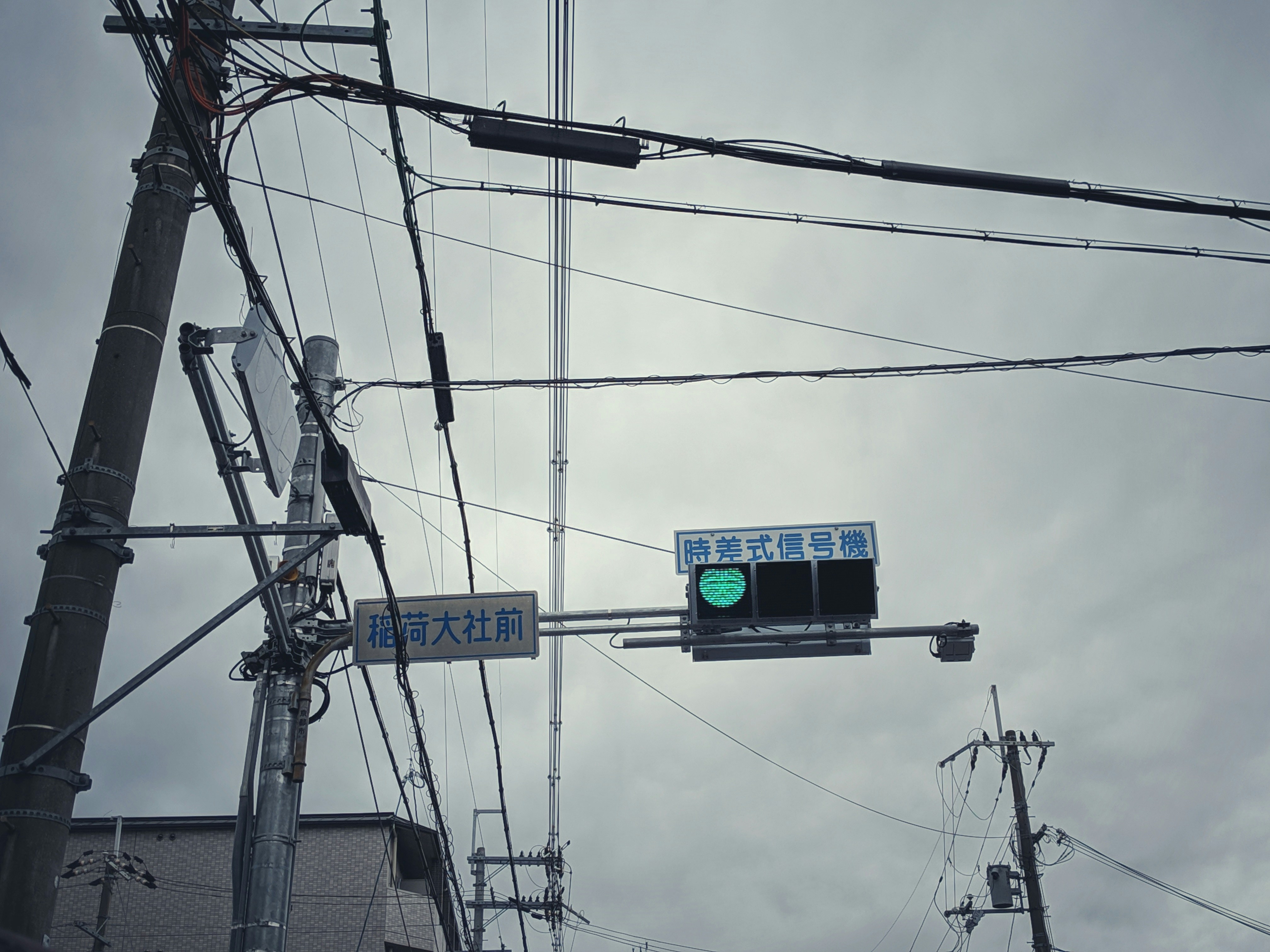 blue and white street sign