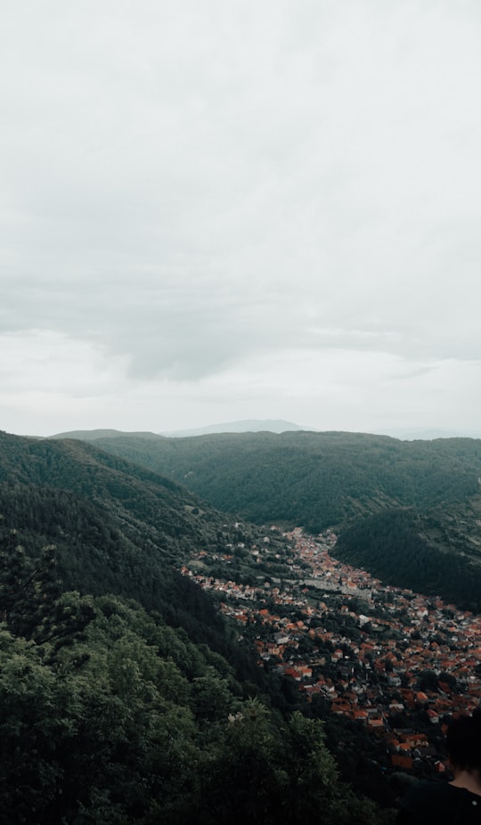 green mountains under white clouds during daytime in Tâmpa Romania