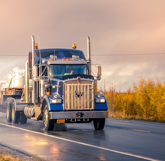 white and blue truck on road during daytime