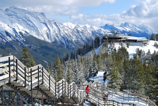 white wooden fence near green trees and snow covered mountain during daytime in Montain Sulphor Hill Station Canada