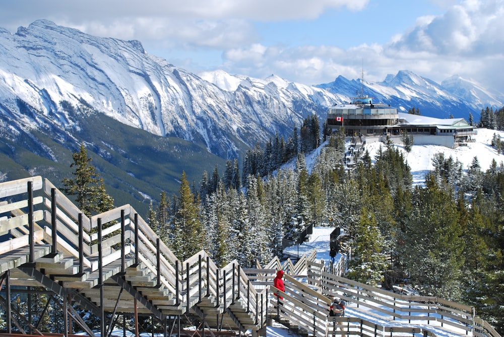 white wooden fence near green trees and snow covered mountain during daytime