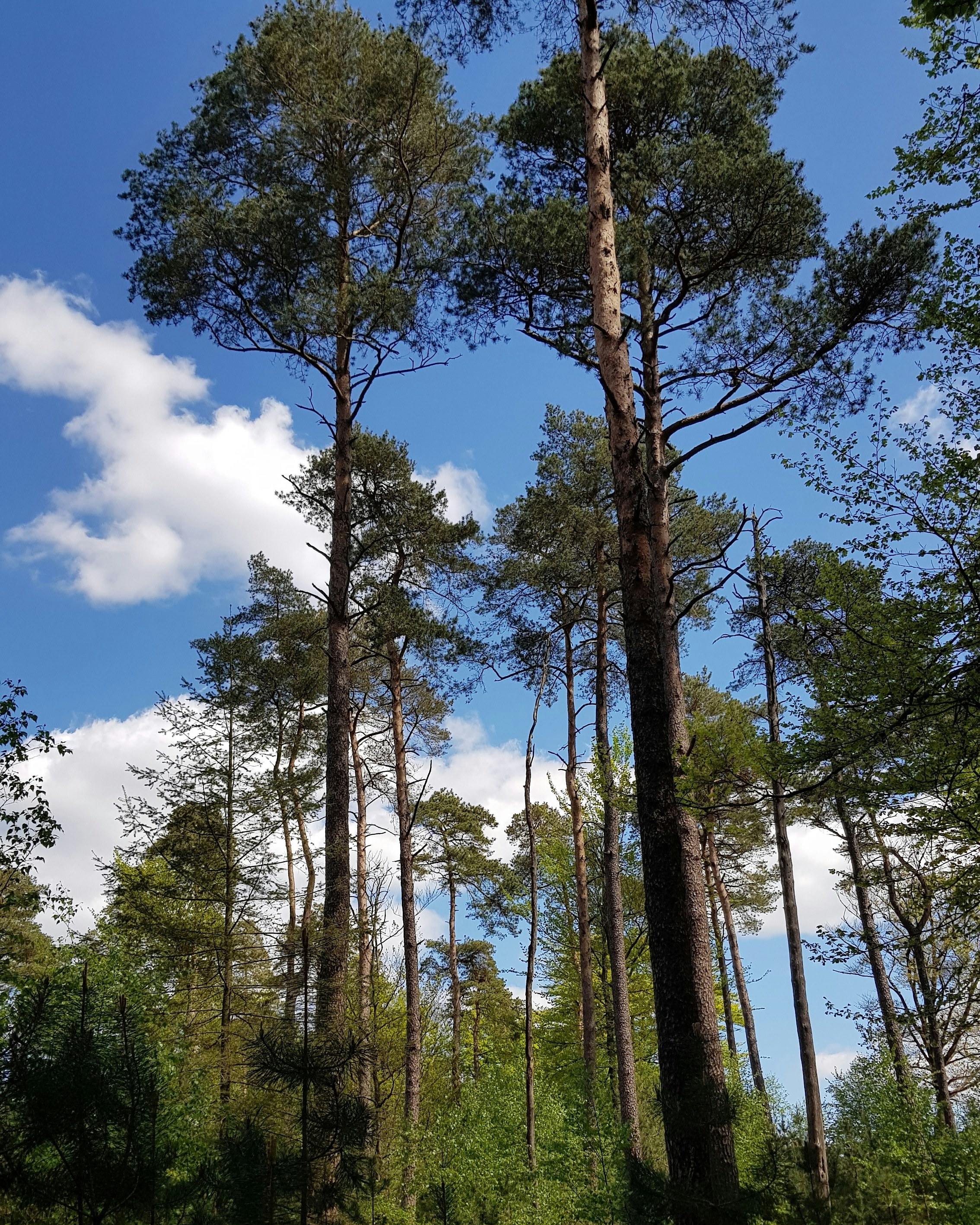 Photo by aadbrinkman