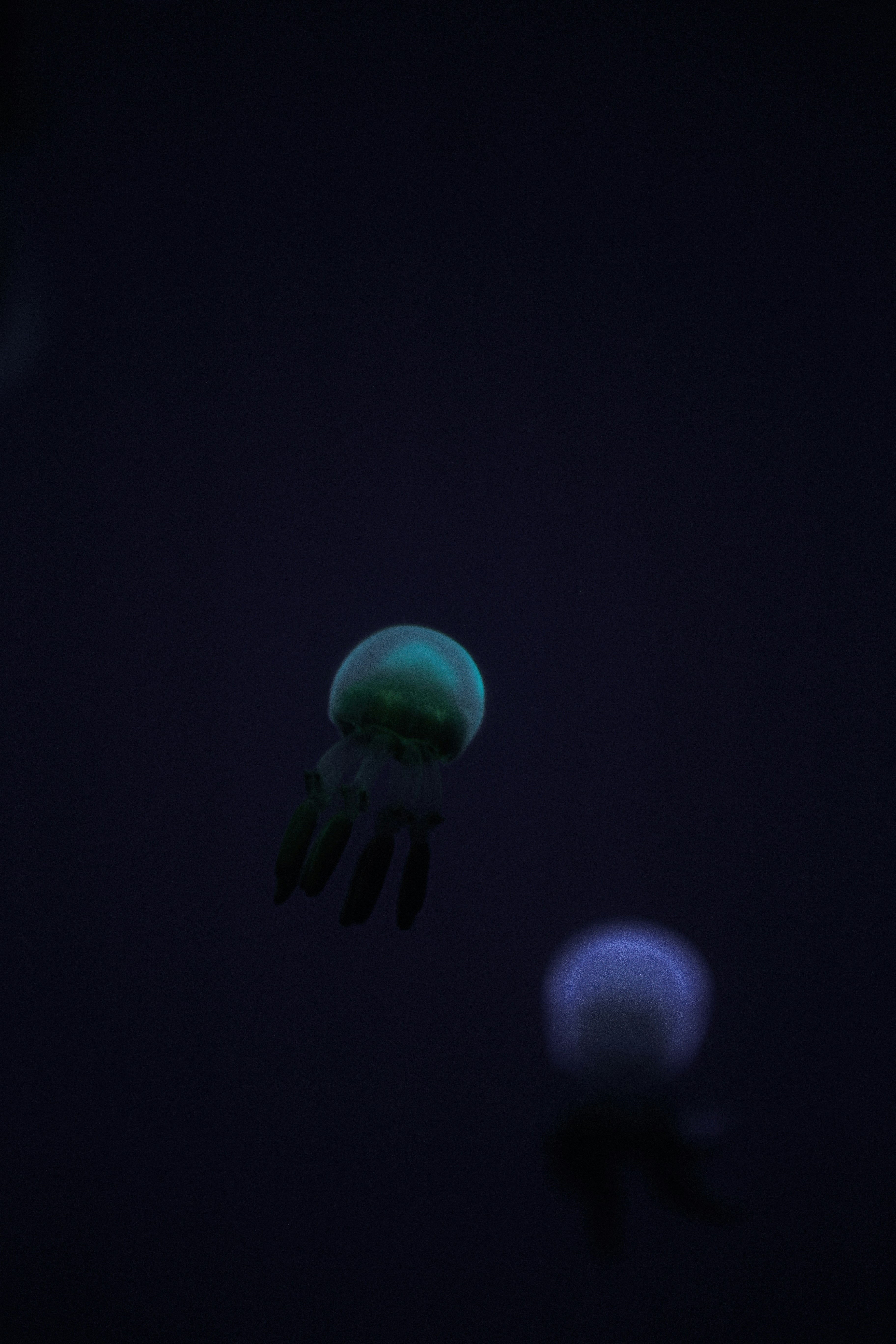 Photo by vinomamba24