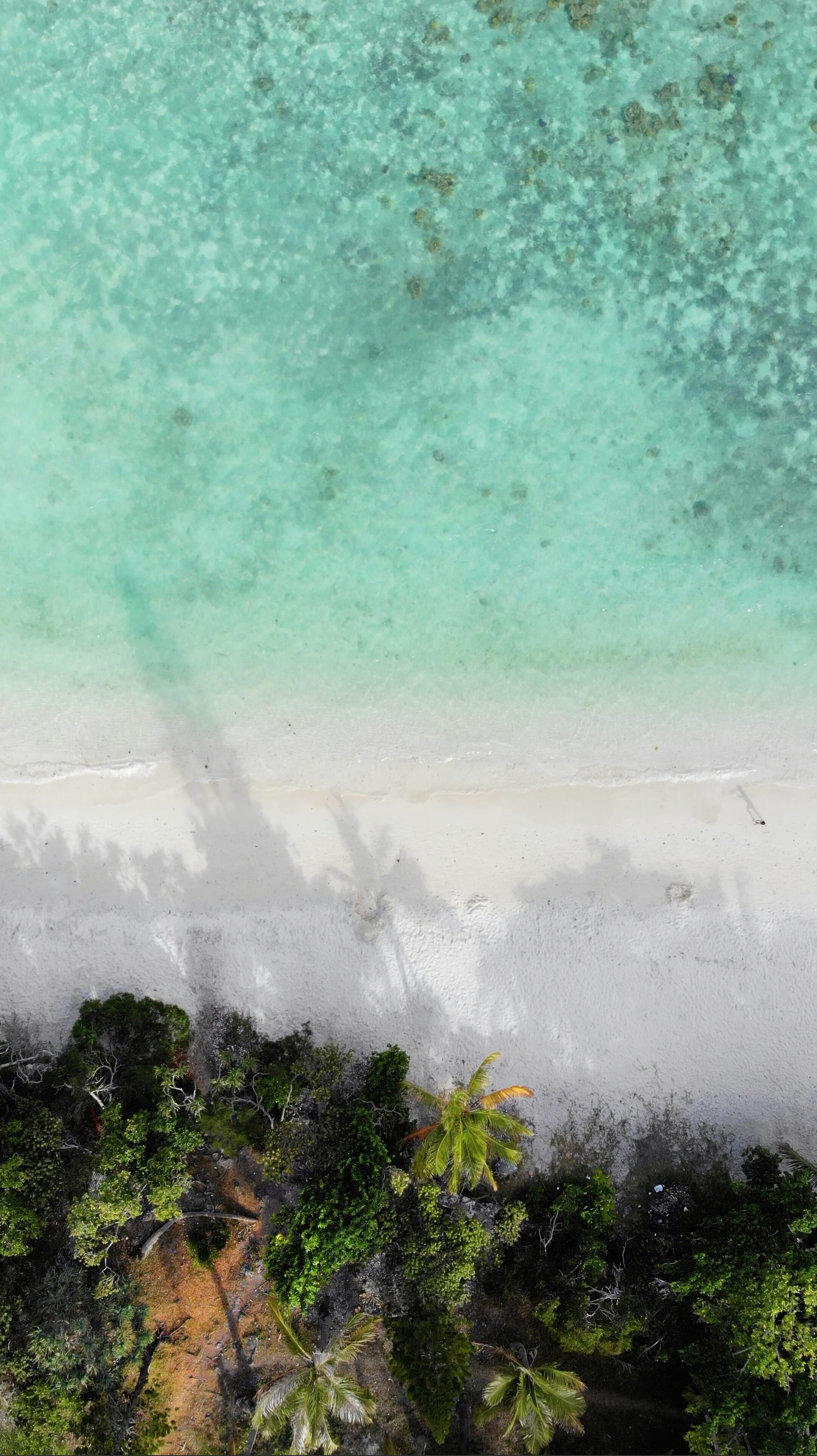 green and white abstract painting