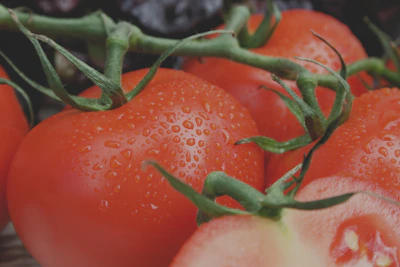 Tomate fresco