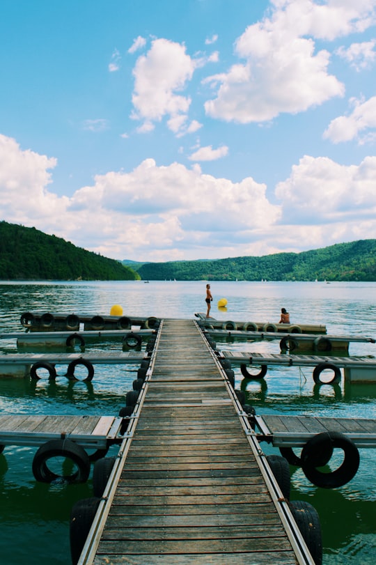 brown wooden dock on lake during daytime in Lac de Vouglans France