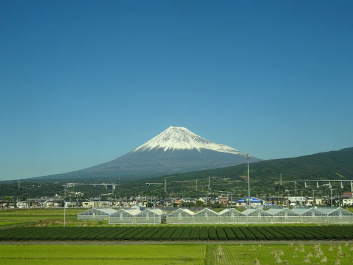 Best Rooftop Cafes in Kumamoto With Views Worth the Climb