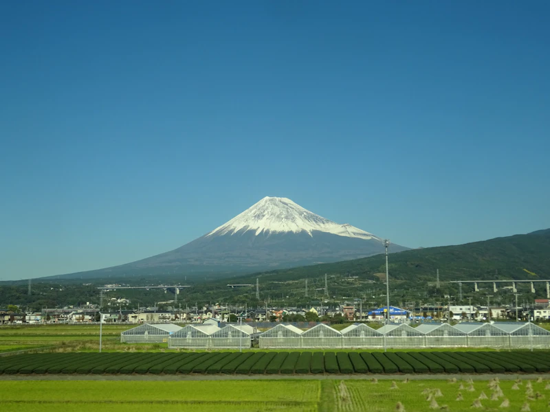 Best Rooftop Cafes in Kumamoto With Views Worth the Climb