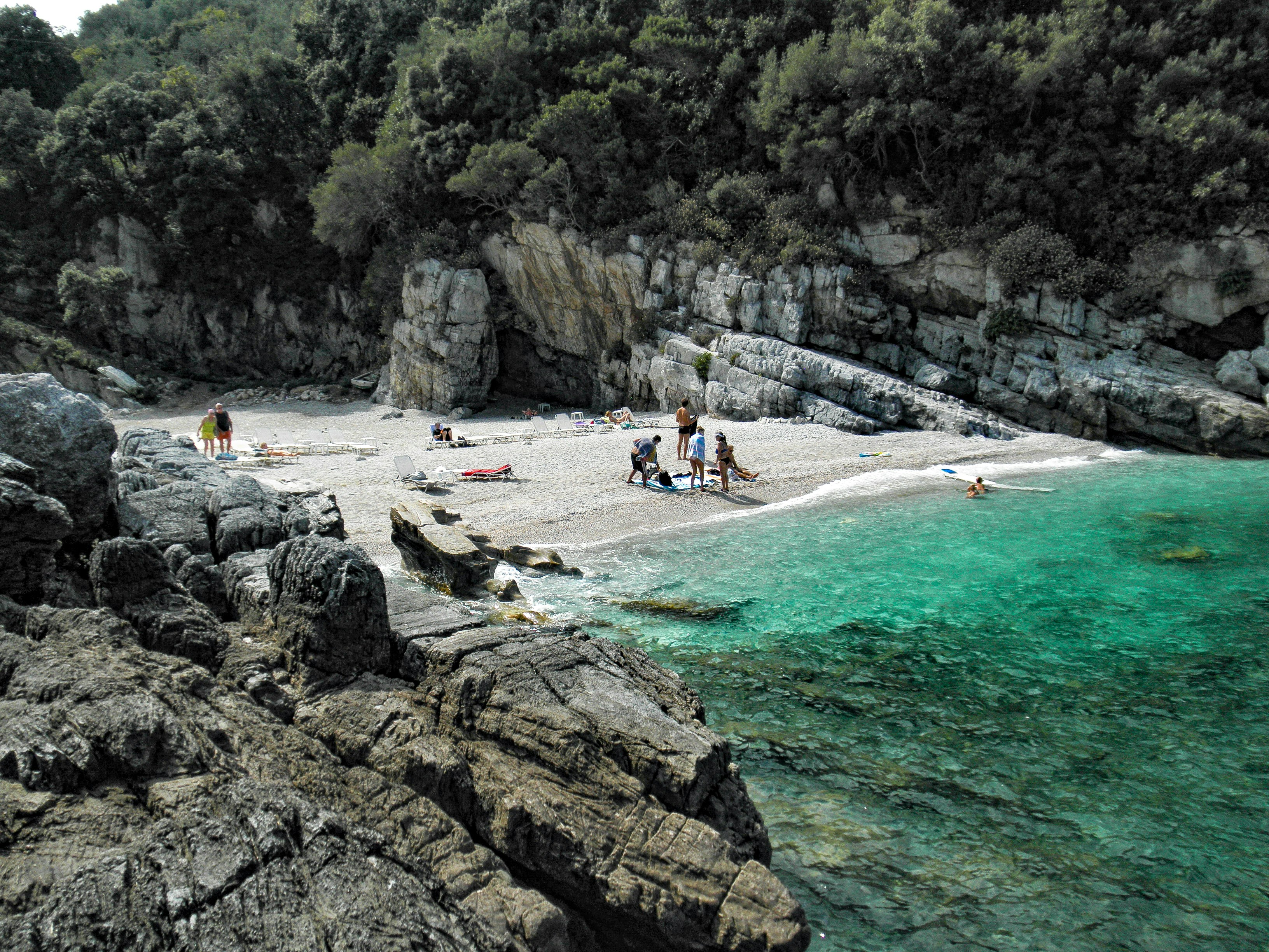 people on beach during daytime