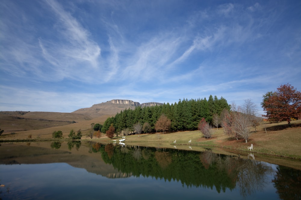 green trees near lake under blue sky during daytime