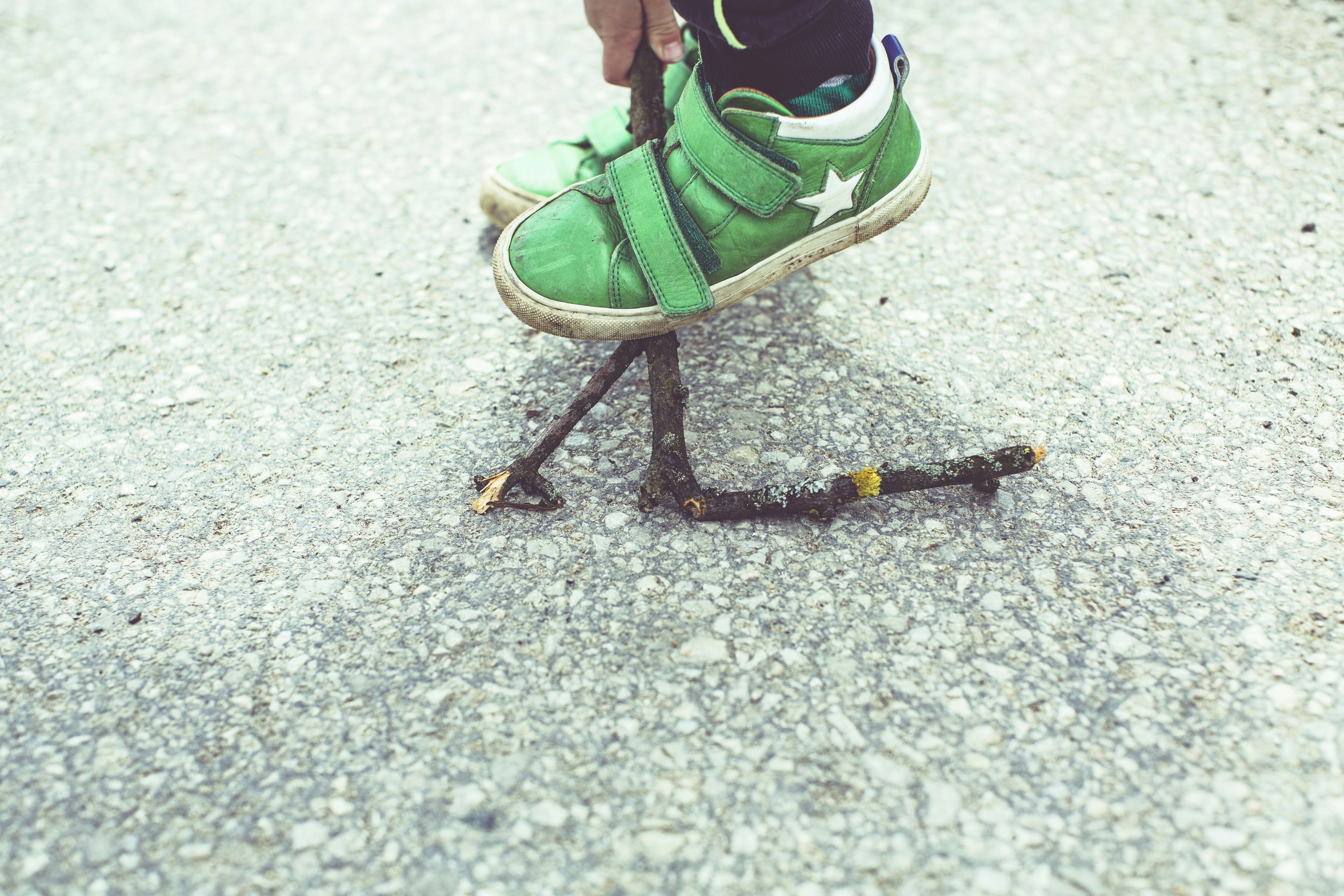 Young boy breaks a branch